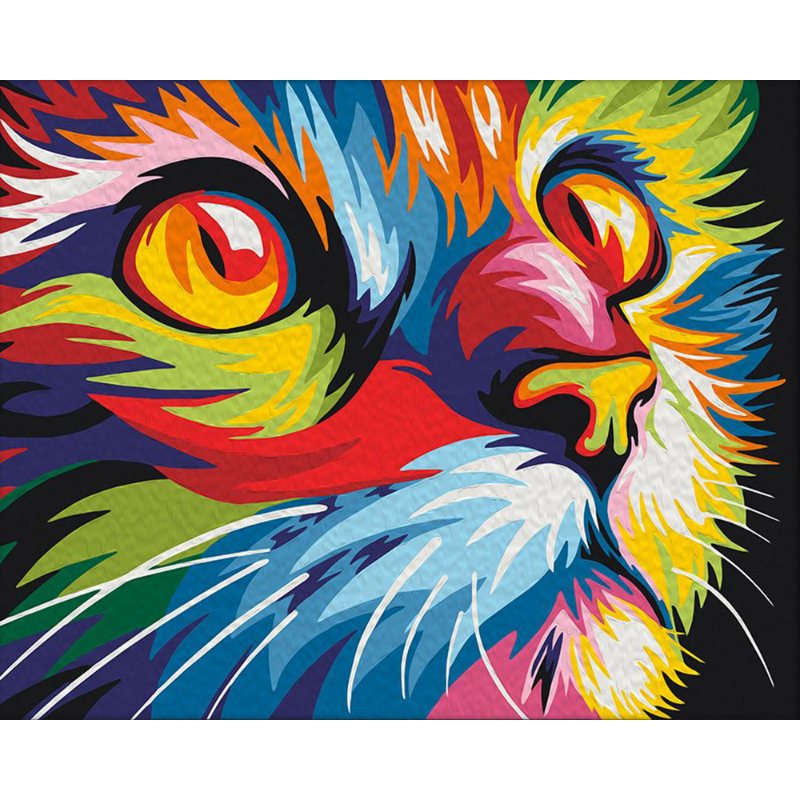 Kleurrijke kat