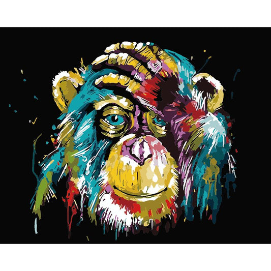 Colourful Monkey